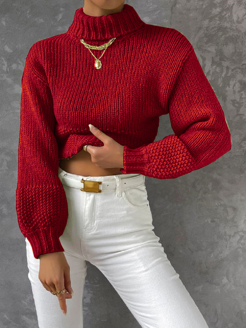 Women's Sweater Modern Voluminous Sleeves