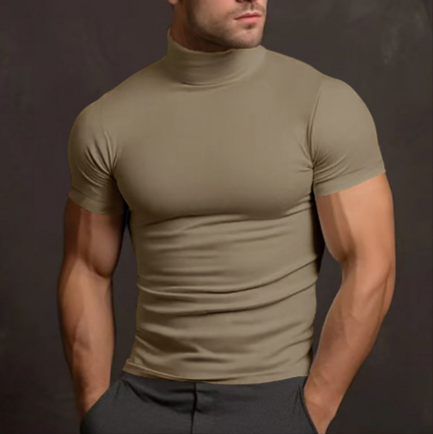 Men's Turtleneck Sweater Slim Fit Short Sleeve