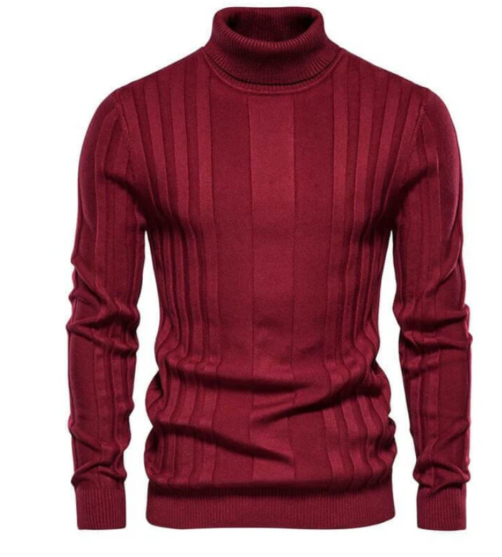 Slim Fit Roll Neck Jumper Modern Design