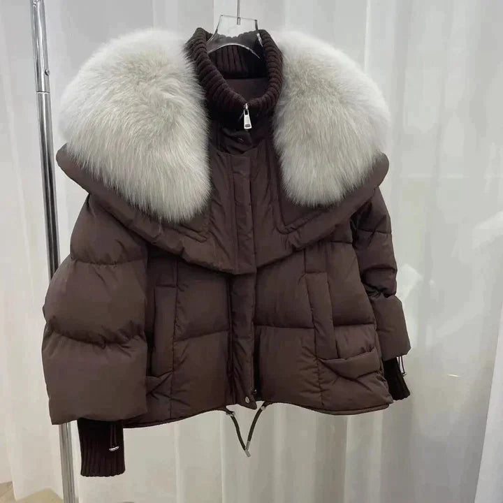 Elegant Winter Jacket Women Plain Stylish