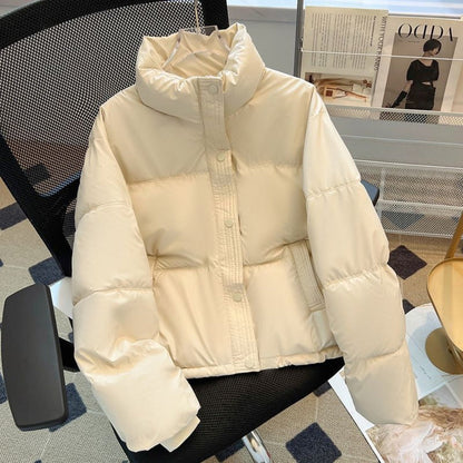 Elegante Damenbluse Mit Stehkragen
