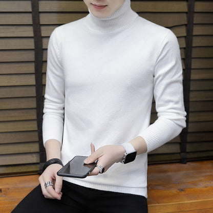 Men's Turtleneck Elegant Knit Sweater