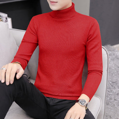 Men's Turtleneck Elegant Knit Sweater