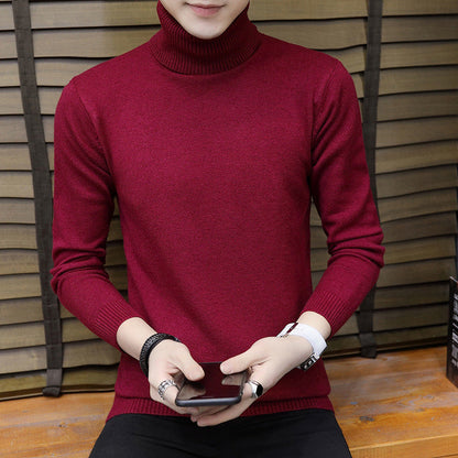 Men's Turtleneck Elegant Knit Sweater