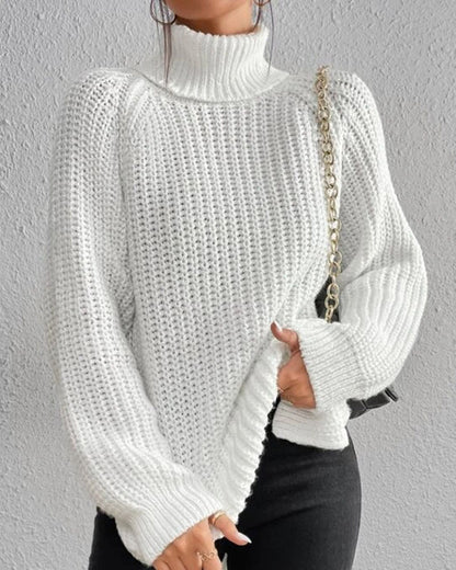 Women's Sweater Autumn Turtleneck Generous