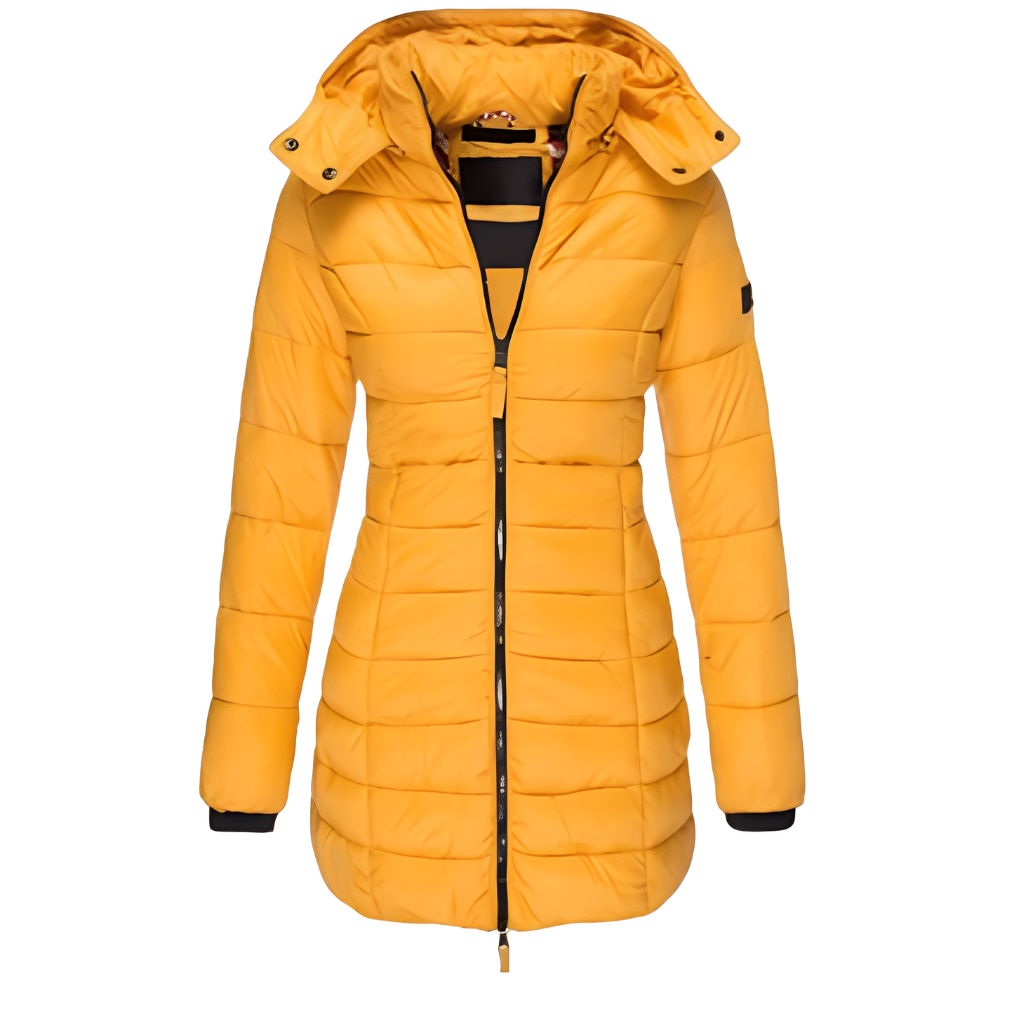 Elegant Women's Coat Warm Padded