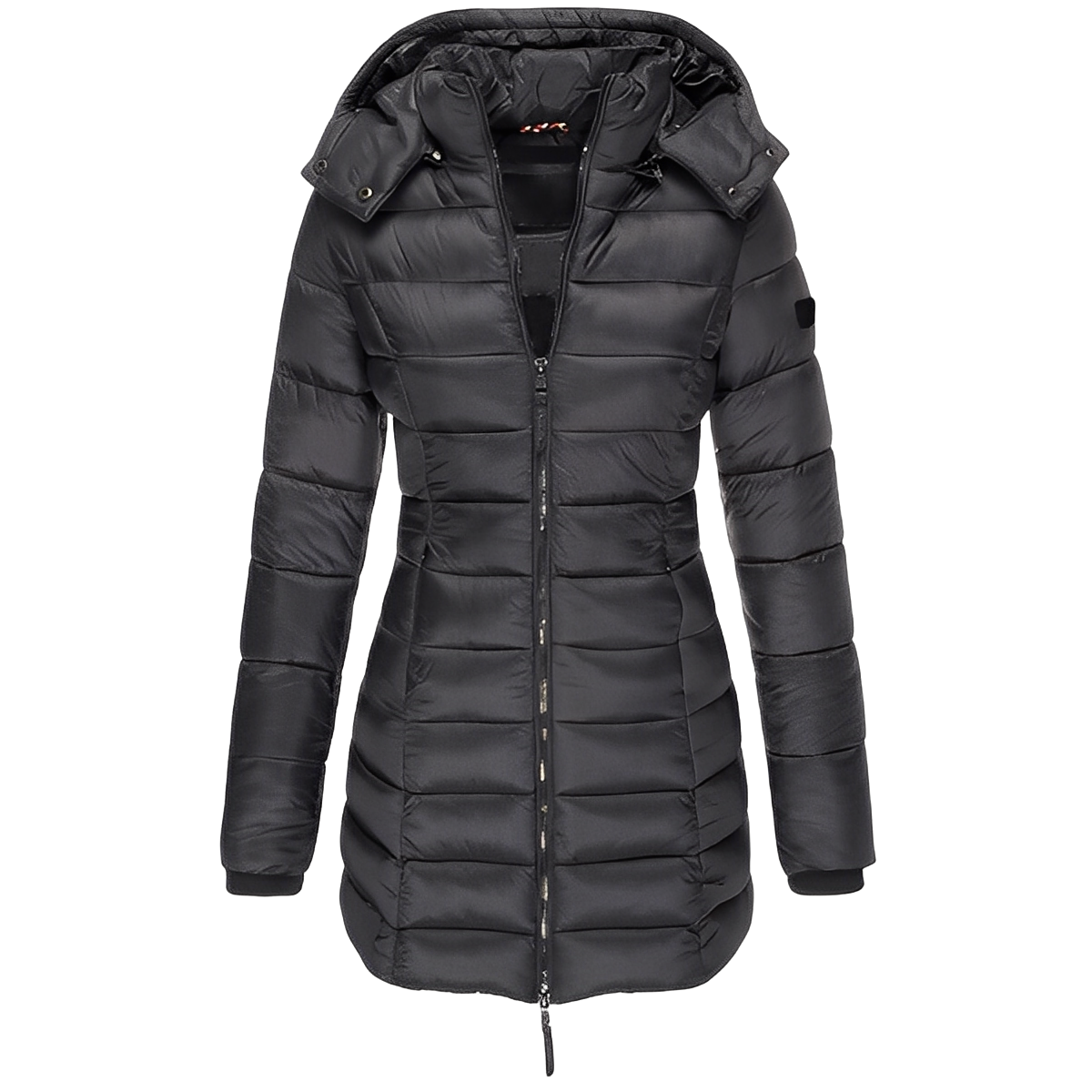 Elegant Women's Coat Warm Padded