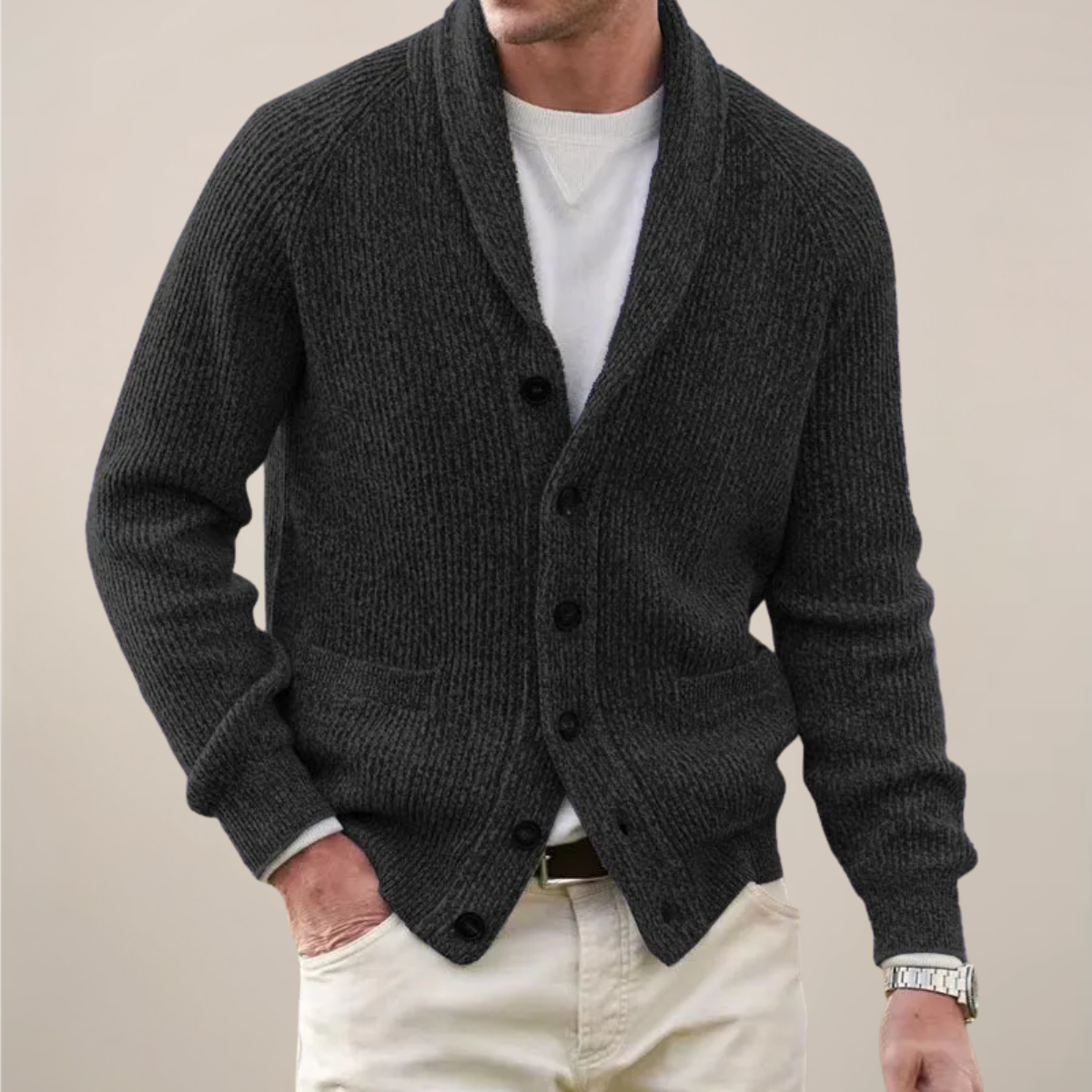 Men's Cardigan Spring Modern Shawl Collar
