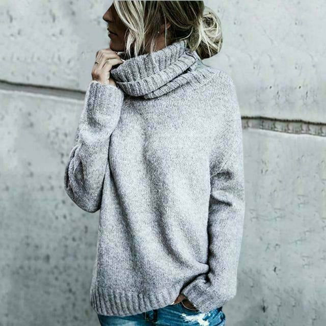 Warm Knitted Roll-Neck Dress
