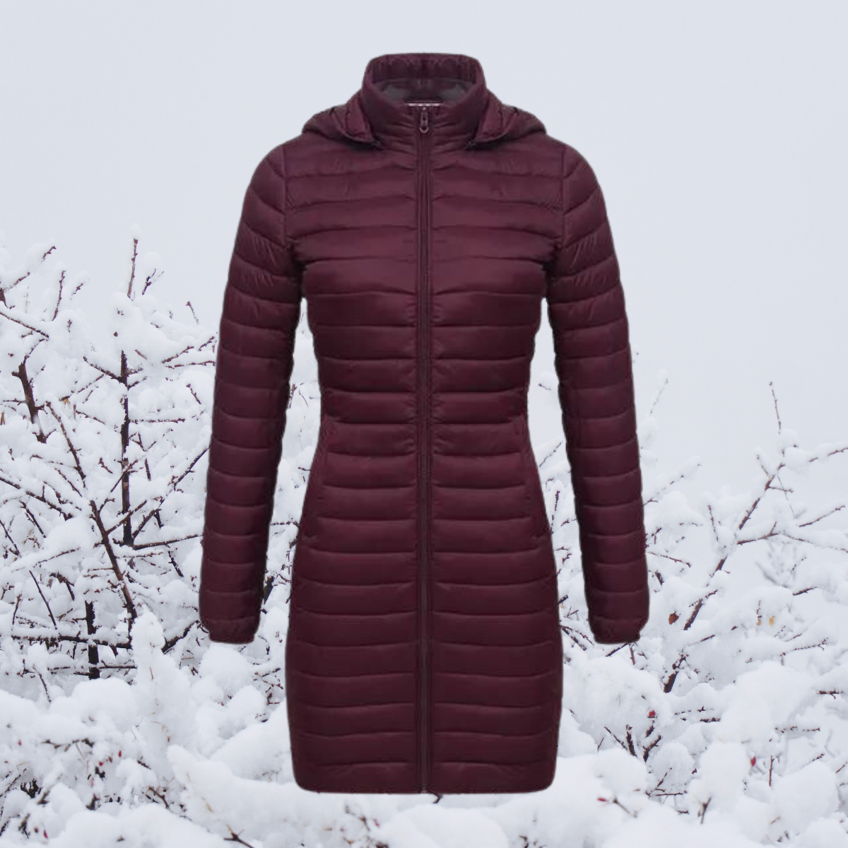 Women's Winter Jacket Long Warm Padded Hood