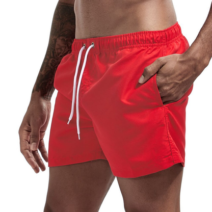 Men's Beach Shorts Elastic Quick Dry