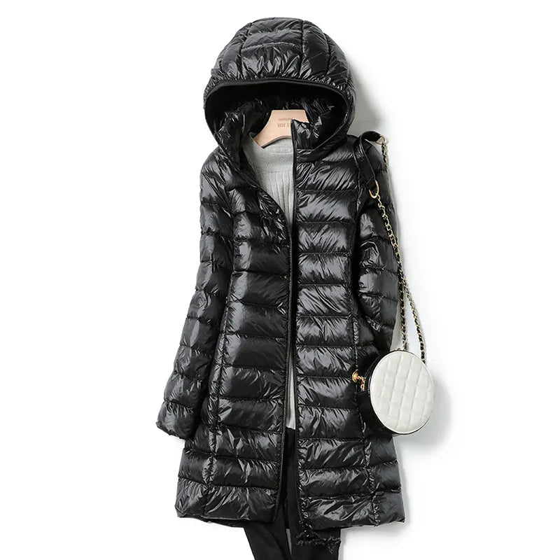 Stylish Women's Dresses Warm and Elegant