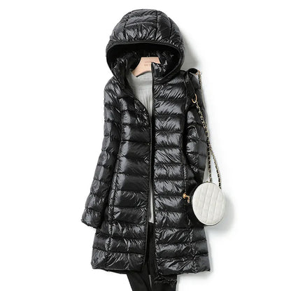 Stylish Women's Dresses Warm and Elegant