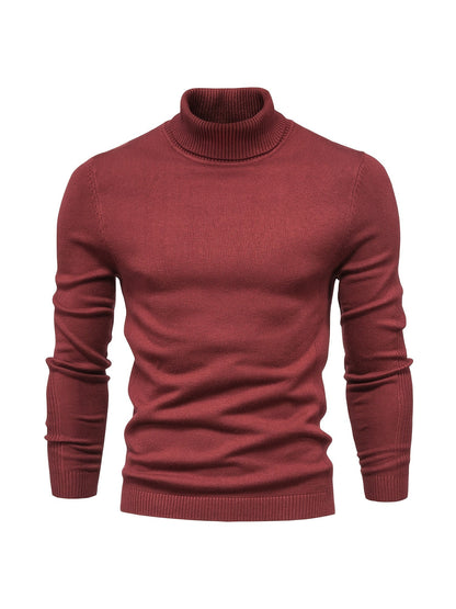 Men's Roll-Neck Sweater Merino Wool Modern Warm
