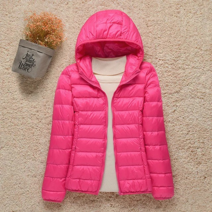 Stylish Hooded Jacket with Stand-Up Collar Design