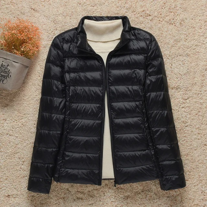 Stylish Hooded Jacket with Stand-Up Collar Design