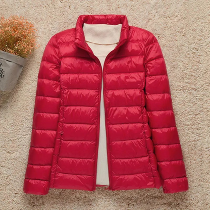 Stylish Hooded Jacket with Stand-Up Collar Design