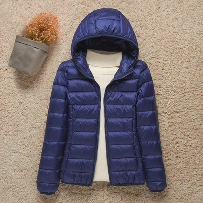 Stylish Hooded Jacket with Stand-Up Collar Design