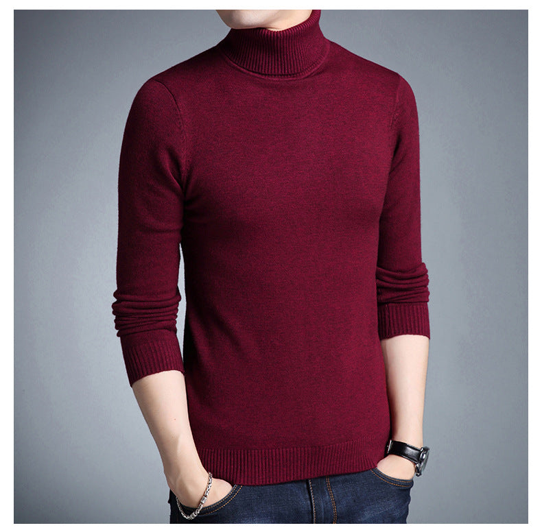 Chic Turtleneck Sweaters for Women