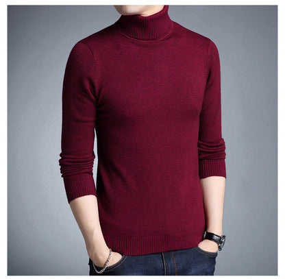 Chic Turtleneck Sweaters for Women