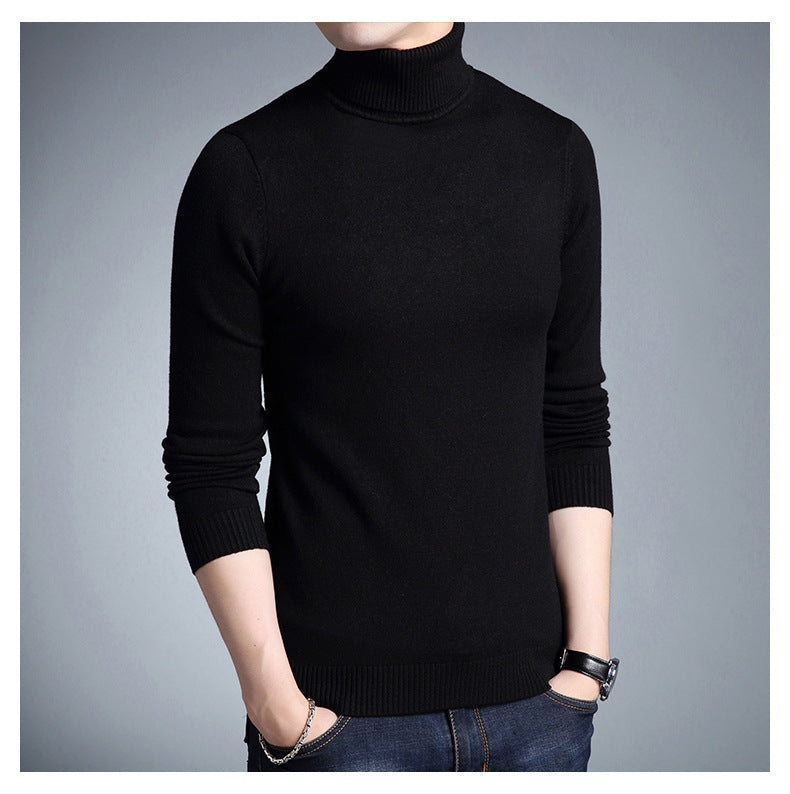 Chic Turtleneck Sweaters for Women