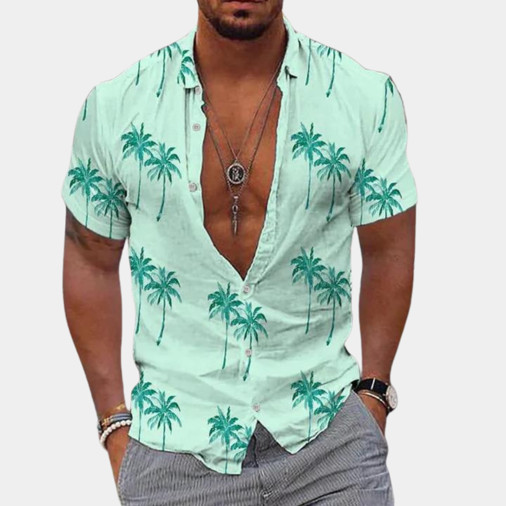 Men's Short Sleeve Hawaiian Style Summer Shirt