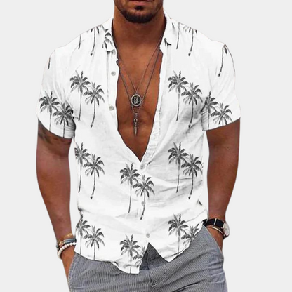 Men's Short Sleeve Hawaiian Style Summer Shirt