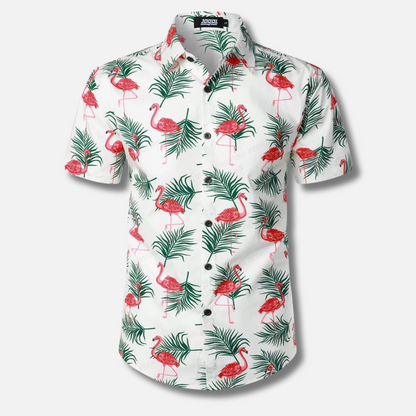 Summer Blouse Hawaiian Shirt Style for Men