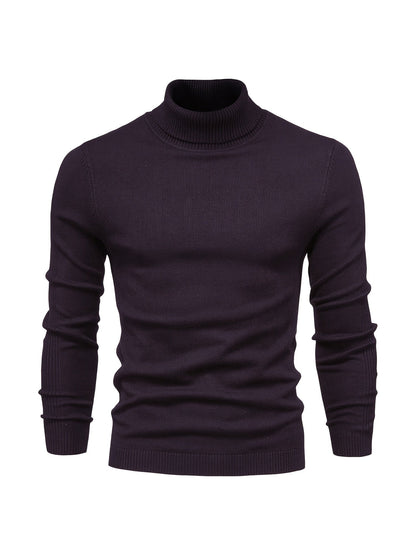 Men's Roll-Neck Sweater Merino Wool Modern Warm