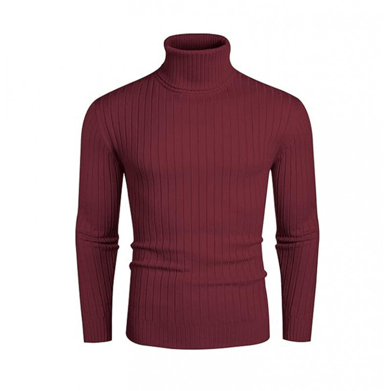 Herren Pullover Rollkragen Strick Design