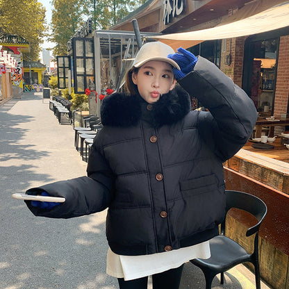 Women's Puffer Jacket Warm Luxury Faux Fur Collar