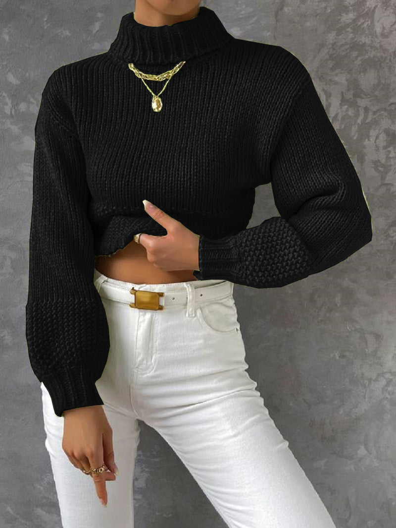 Women's Sweater Modern Voluminous Sleeves