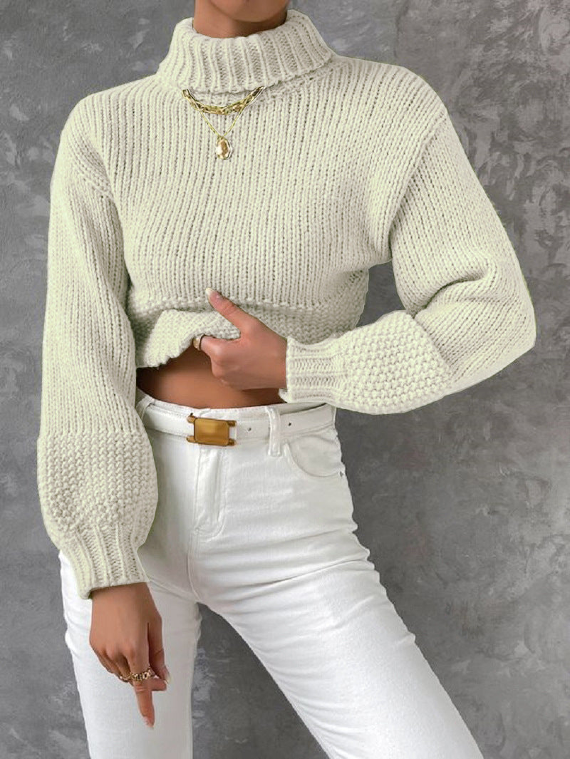 Women's Sweater Modern Voluminous Sleeves