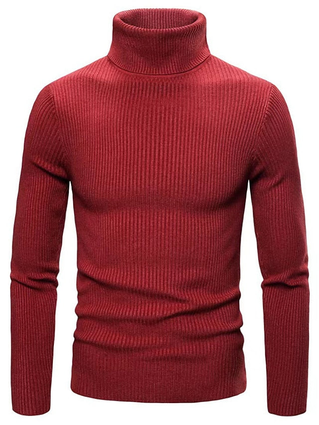 Men's Elegant Wool Sweater Tom Polo