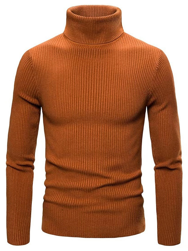 Men's Elegant Wool Sweater Tom Polo