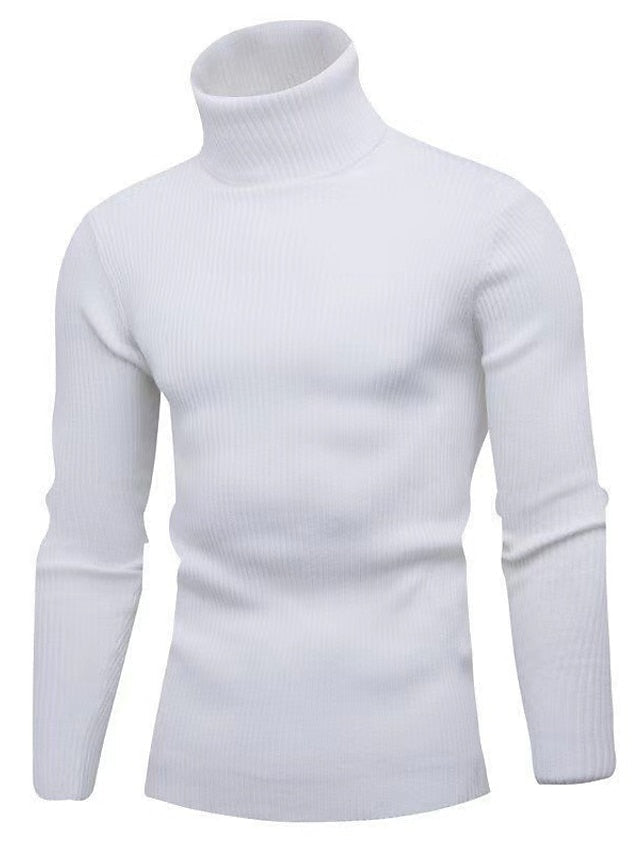 Men's Elegant Wool Sweater Tom Polo
