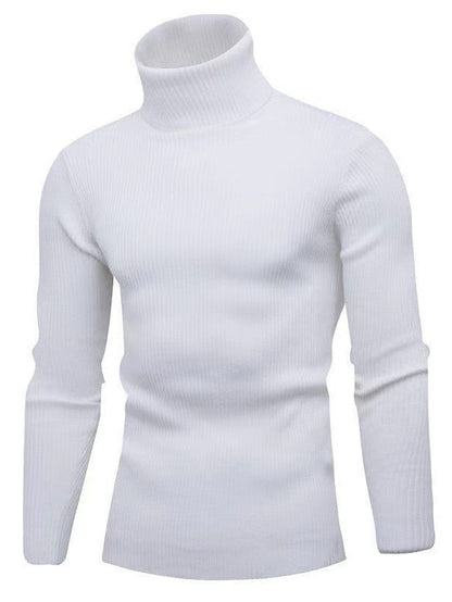 Men's Elegant Wool Sweater Tom Polo