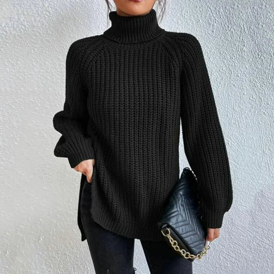 Schöner Rollkragen Pullover Damen - IdealeKleiden