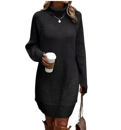 Soft Women's Sweatshirt Dress with Collar