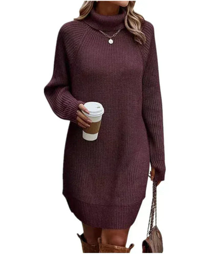 Soft Women's Sweatshirt Dress with Collar
