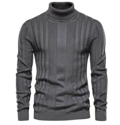 Slim Fit Roll Neck Jumper Modern Design