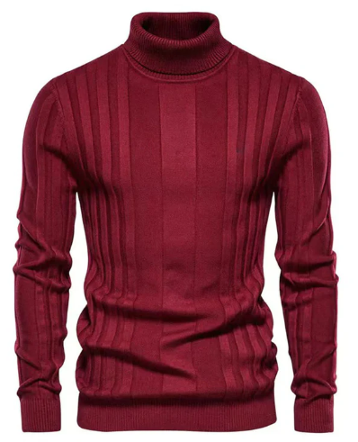 Herren Rollkragenpullover Elegantes Design - IdealeKleiden