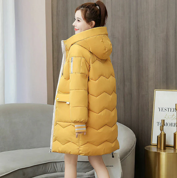 Women's Windproof Hooded Warm Winter Jacket