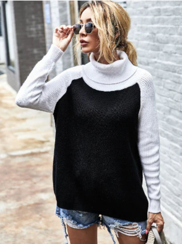 Color Block Pullover Turtleneck Modern