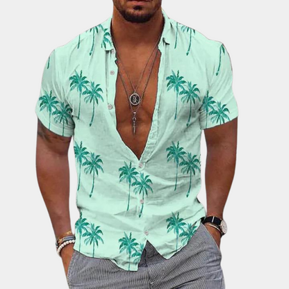 Men's Short Sleeve Hawaiian Shirt Summer