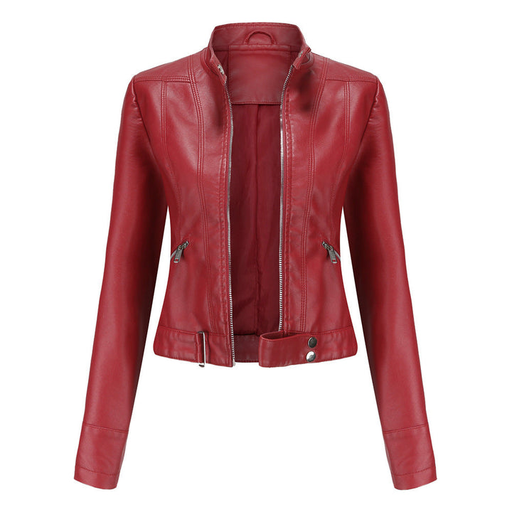 Autumn Dress for Women with Zipper and Stand-Up Collar