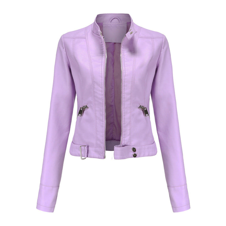 Autumn Dress for Women with Zipper and Stand-Up Collar