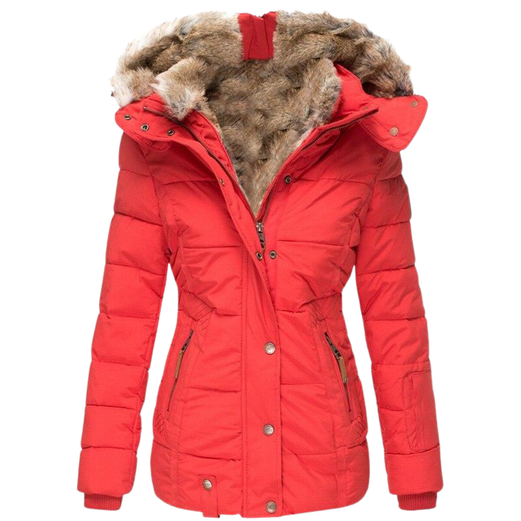 Warm Winter Dress | Women's Coat with Fur Collar and Quilted Seams