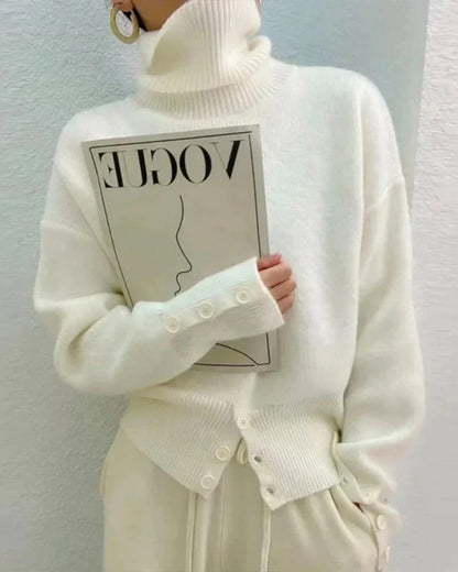 Soft Solid Turtleneck Sweater