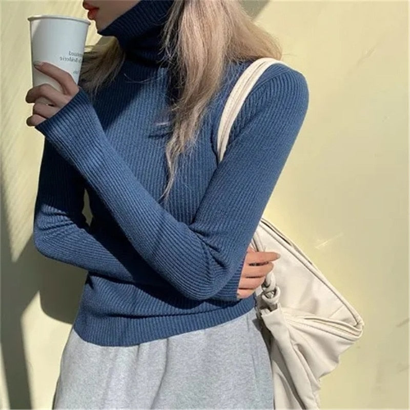 Elegant Women's Classic Sweaters